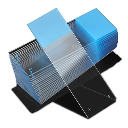 Classic Microscope Slides from Globe Scientific